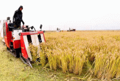 新农村扶植一曲正在上